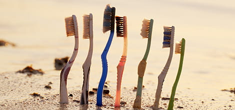 Line of toothbrushes in the sand on the beach